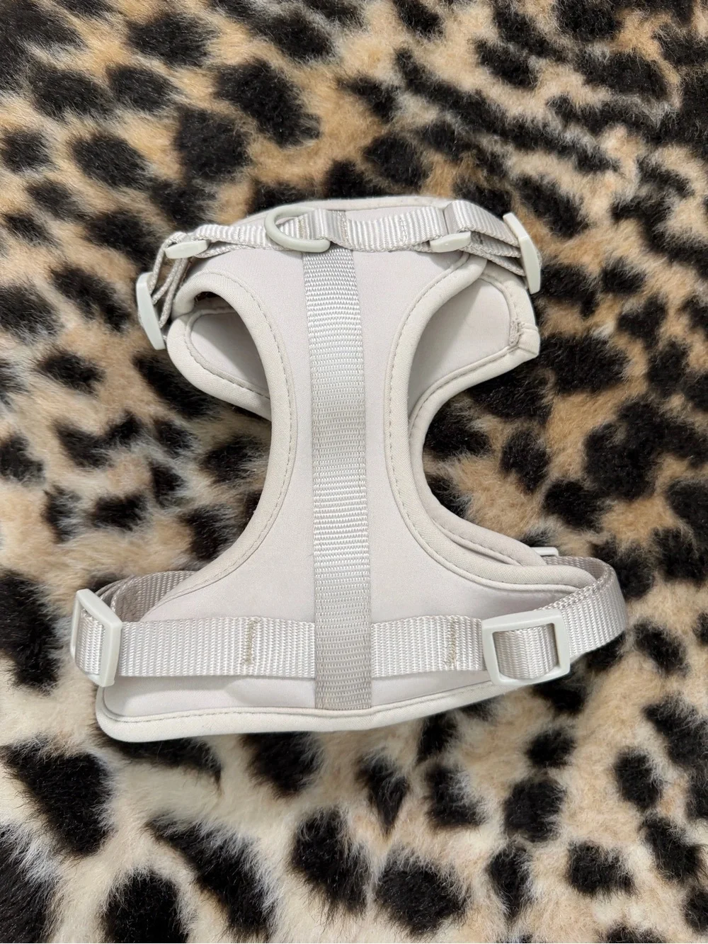 Wild One Cushioned Dog Harness